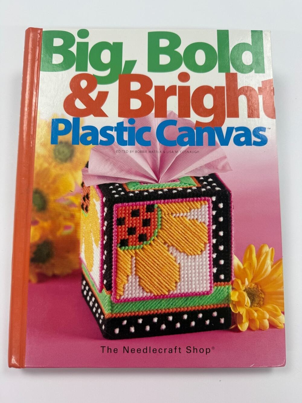 Big, Bold & Bright Plastic Canvas (Hardcover)